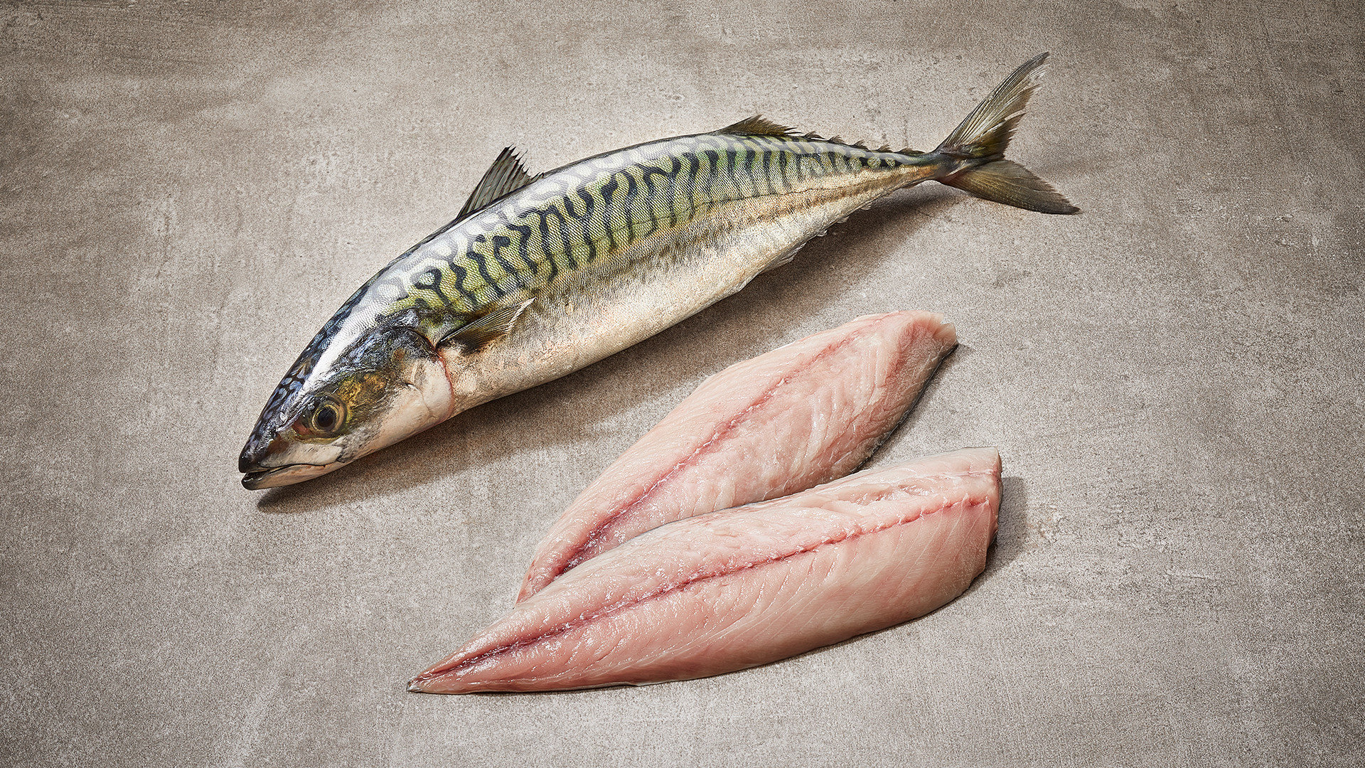 makreel, vis van de maand september